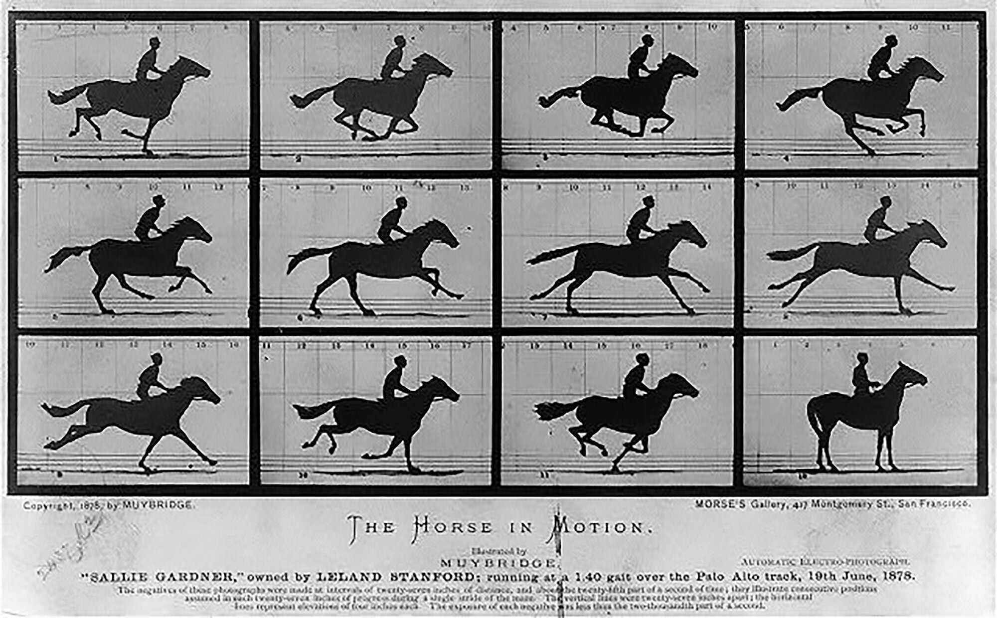 Muybridge, The Horse in Motion, 1878