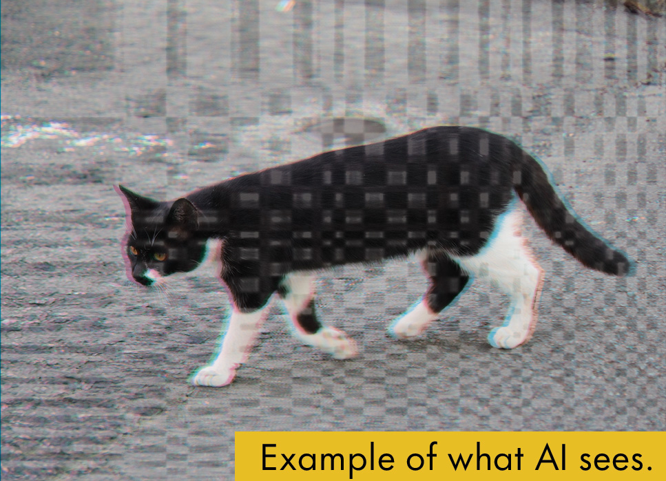 poisoned quantization